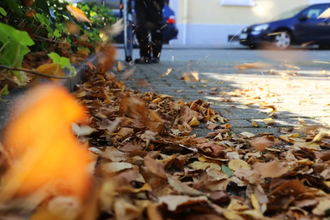 Laub wird auf einem Gehweg vor geparkten Autos zusammengekehrt